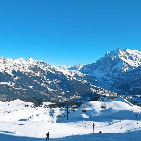 Chalet Aphrodite Ost Appartement Grindelwald Buitenkant foto