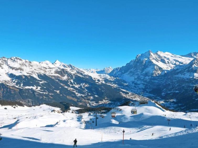 Chalet Aphrodite Ost Appartement Grindelwald Buitenkant foto