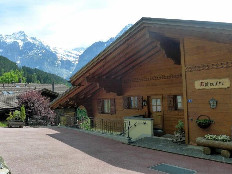 Chalet Aphrodite Ost Appartement Grindelwald Buitenkant foto