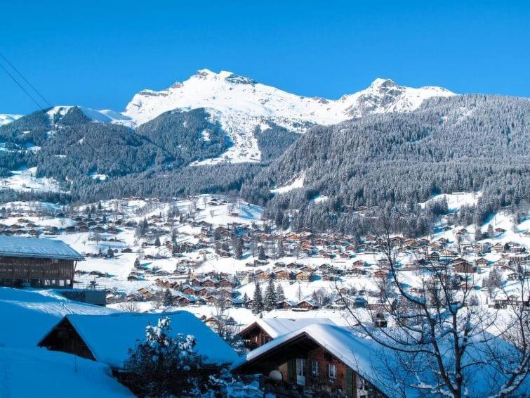 Chalet Aphrodite Ost Appartement Grindelwald Buitenkant foto