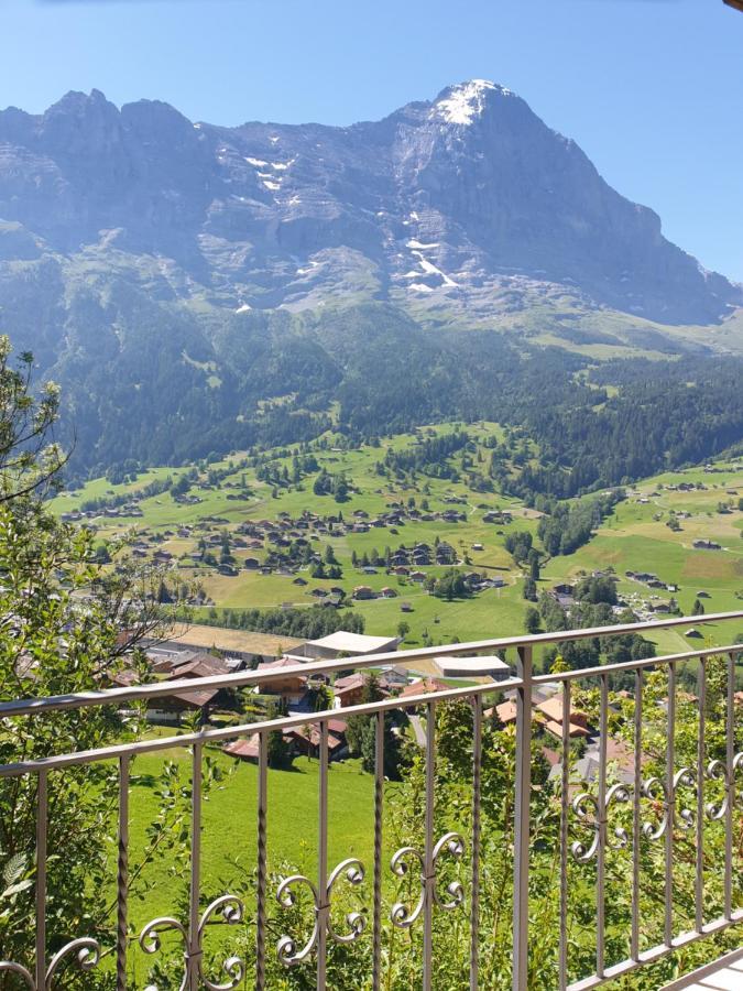 Chalet Aphrodite Ost Appartement Grindelwald Buitenkant foto